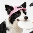 thumbnail image 1 of Rewenti Ear Breathable Golden Hound Dog Hat Summer Sunshade Sun Protection Pet Hat, 1 of 5
