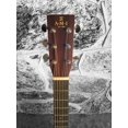 thumbnail image 4 of AMI DM-15 Mahogany Dreadnaught Acoustic, 4 of 5
