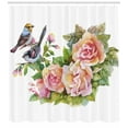 thumbnail image 3 of Ambesonne Spring Shower Curtain, Wild Exotic Birds Roses, 69"Wx84"L, Multicolor, 3 of 3