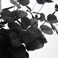 thumbnail image 4 of Black Artificial Flowers Black Eucalyptus Stems Decor | Black Eucalyptus Flowers Faux Eucalyptuses Leaves Branches for Halloween Home Farmhouse Party Table Centerpieces Decoration, 4 of 9