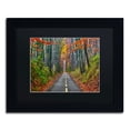 thumbnail image 2 of Trademark Fine Art "Paths" Canvas Art by CATeyes, Black Matte, Black Frame, 2 of 5