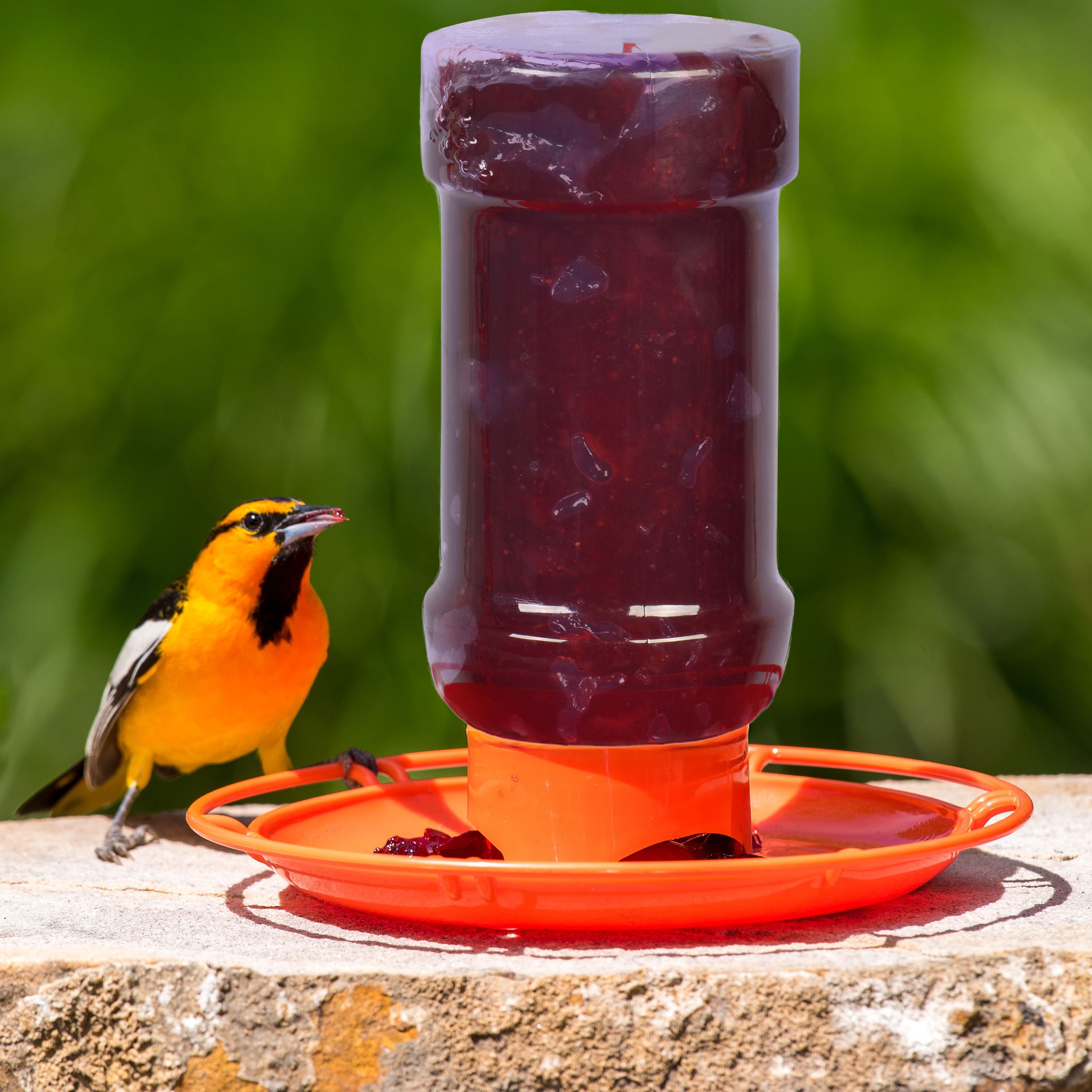 Perky-Pet 253 Wild Oriole Jelly Bird Feeder - 32 Ounce Feeder Capacity