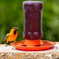 thumbnail image 6 of Perky-Pet Oriole Jelly Wild Bird Feeder - 32 oz Capacity, 6 of 10