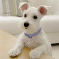 thumbnail image 4 of Collier pour Animaux de Compagnie Strass Réglable: Os Collier de Chat Sangle de Cou de Chiot avec Pendentif, 4 of 6