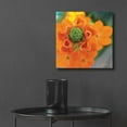 thumbnail image 6 of Epic Art 'Floral Pop IV' by Lori Deiter, Acrylic Glass Wall Art, 12"x12", 6 of 8