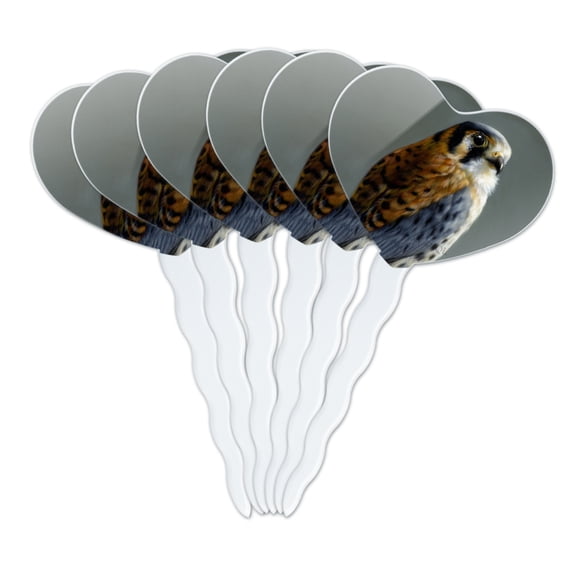 American Kestrel on Branch Painting Heart Love Cupcake Picks Toppers Decoration Set of 6