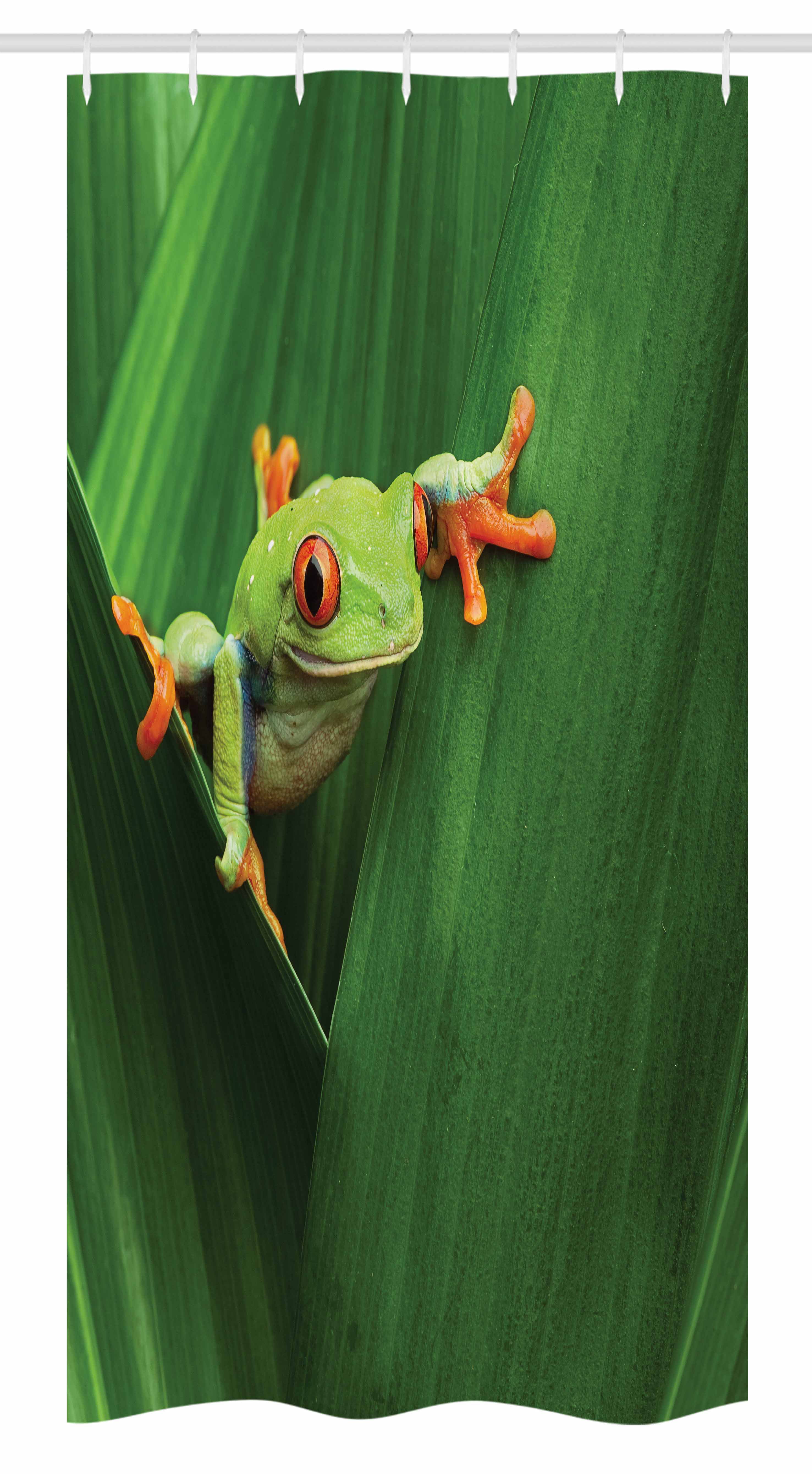Red Eyed Frog Exotic Leaves Wild Nature Animal Vivid Image Shower Curtain Set 