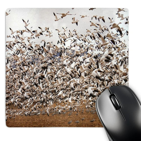 3dRose, Flock Of Snow Geese, MousePad