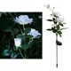 thumbnail image 5 of Energía Solar rosas flores jardín luz hogar flores decorativas luces de noche para jardín paisaje césped Patio decoraciones de Patio blanco, 5 of 8