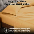 thumbnail image 6 of BNM Egyptian Cotton 300 Thread Count Sheet Set, King, Gold, 6 of 10