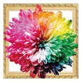 thumbnail image 1 of Cuadros Decorativos DIY mosaico Arco Iris flor completo redondo taladro diamante dibujo arte resina artesanía Ehuebsd Nuevos Originales, 1 of 8