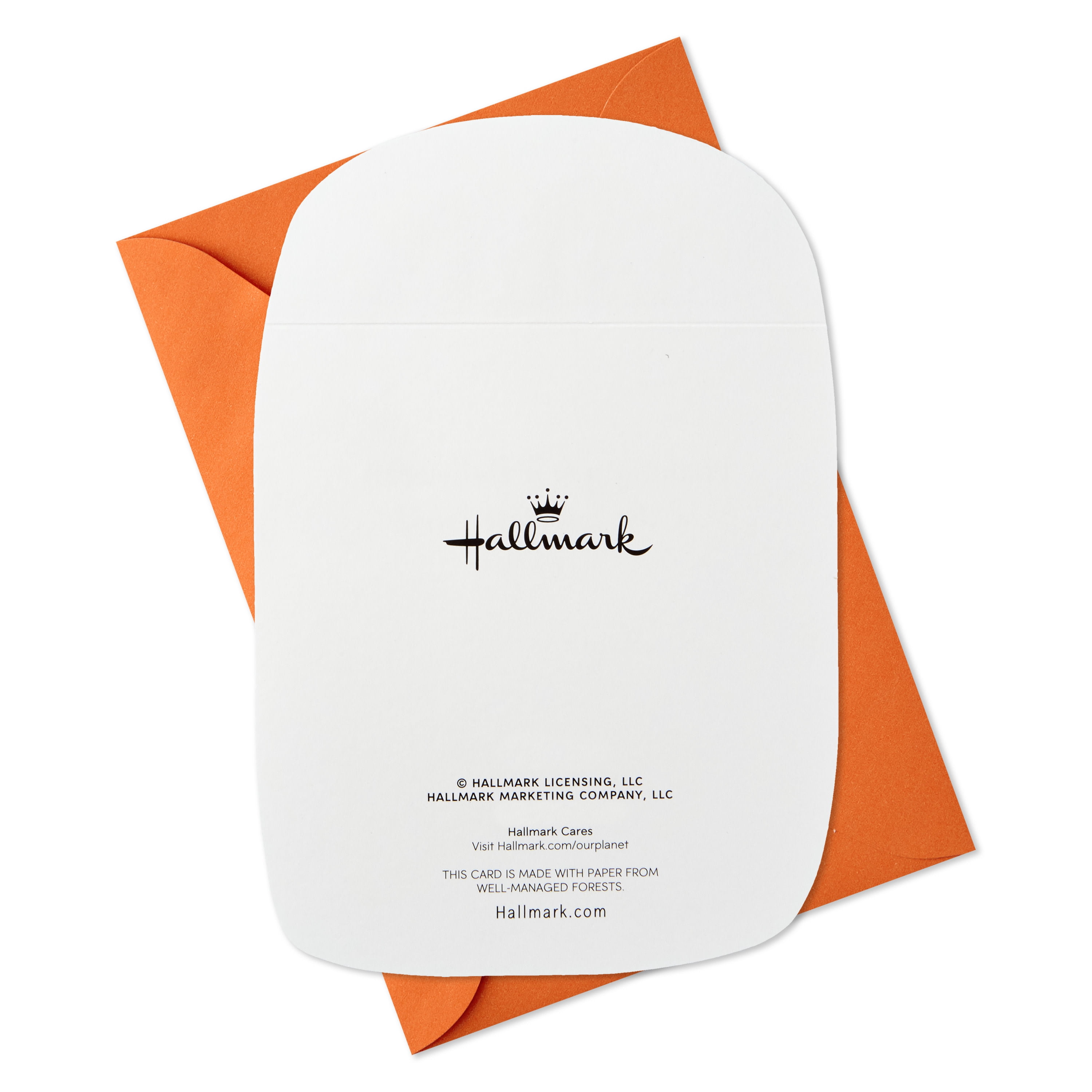 Hallmark Halloween Cards (Jack-o'-Lantern Smile), 6 Count