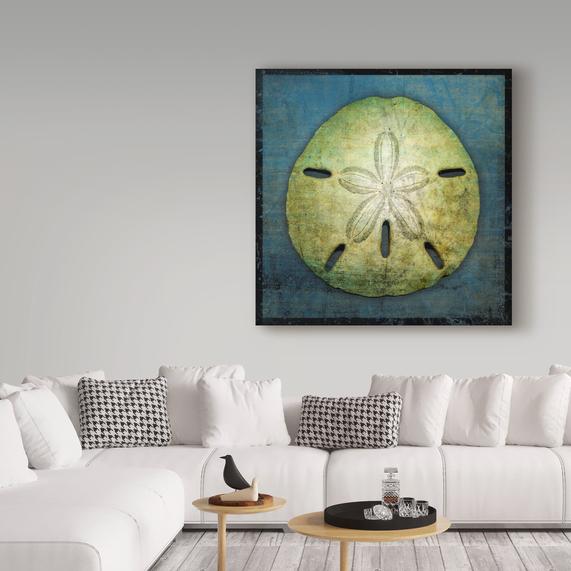 Trademark Fine Art 'Sand Dollar' Canvas Art by John W. Golden