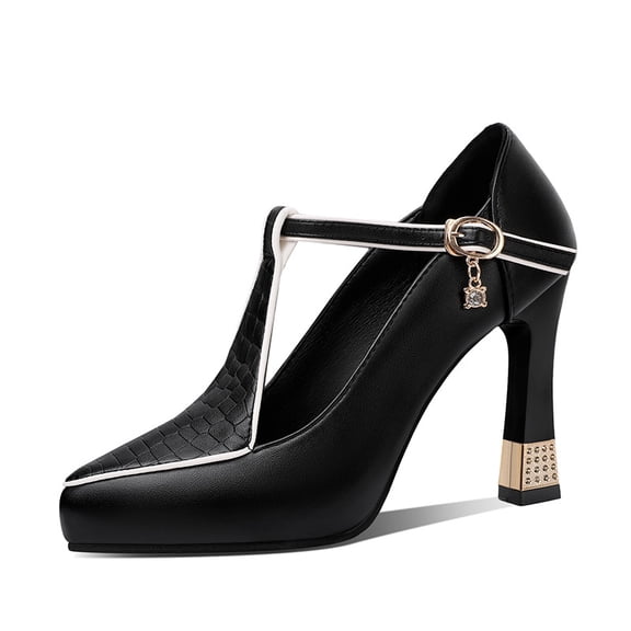 Women's Chunky Heels, Pointy Toe Ankle Strap, Closed Toe Dress Shoes for Party shoes