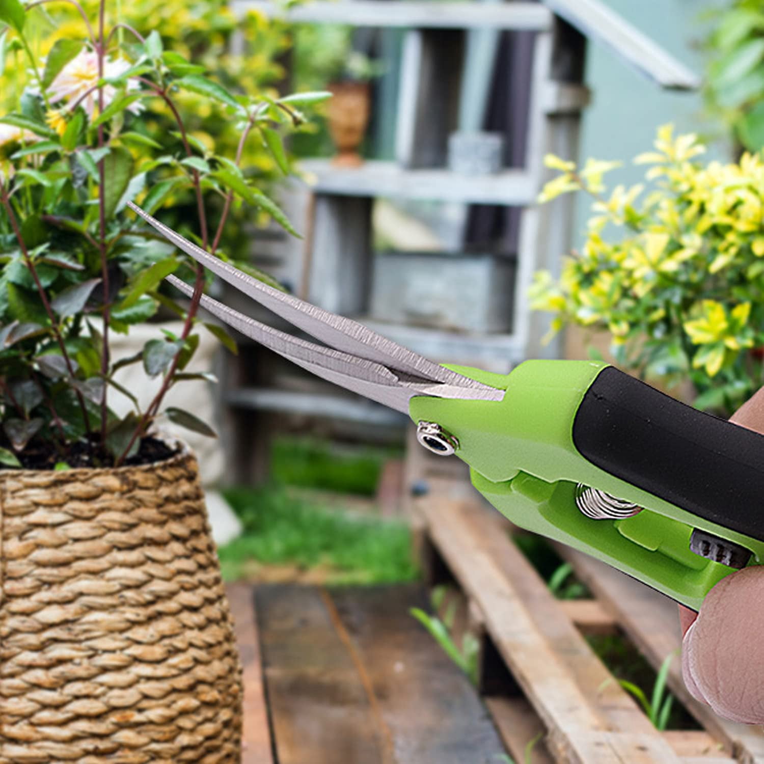Genreen Gardening Scissor 2PCS Sharp Stainless Steel Blade Garden Shears Cutting Flowers Trimming Plants Yard Florist Flower Rose Herb Hedge Bonsai Fruits Picking