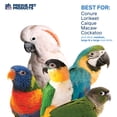 thumbnail image 4 of Juguete para pájaros PH Prevue Hendryx Calypso Creations Dagwood 62607, 4 of 7