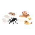 thumbnail image 1 of Figuras de animales de simulación de juguete Zulema Juego de crecimiento de insectos para niños, 1 of 8