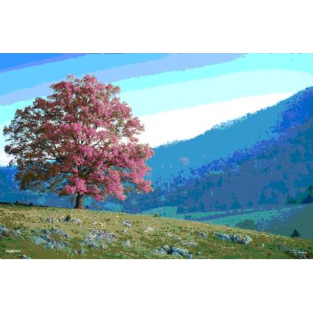 Tree Hill Seasons Changing Mountain Landscape Lenticular 3-D Poster
