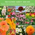 thumbnail image 4 of Heirloom Flower Seeds Collection- 10 Varieties - Full Sun Mix with Fast-Growing Annuals, 4 of 8