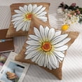 thumbnail image 6 of Spring Daisy Pillow Covers 20x20 Set of 2 Cute Floral Brown Summer Outdoor Decorative Throw Pillows Farmhouse Flower Pillowcases Linen Cushion Case Decor for Home Sofa Couch Bed, 6 of 7