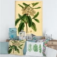 thumbnail image 2 of Designart ' Ancient Plant Life I ' Traditional Canvas Wall Art Print, 2 of 4