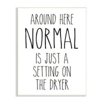 Stupell Industries Normal Dryer Setting Funny Laundry Dryer Lettering Graphic Art Unframed Art Print Wall Art, Design by Lettered and Lined