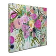 thumbnail image 2 of Trademark Fine Art 24x24 Floral Canvas Wall Art 'Rose Burst' by Carrie Schmitt, 2 of 3