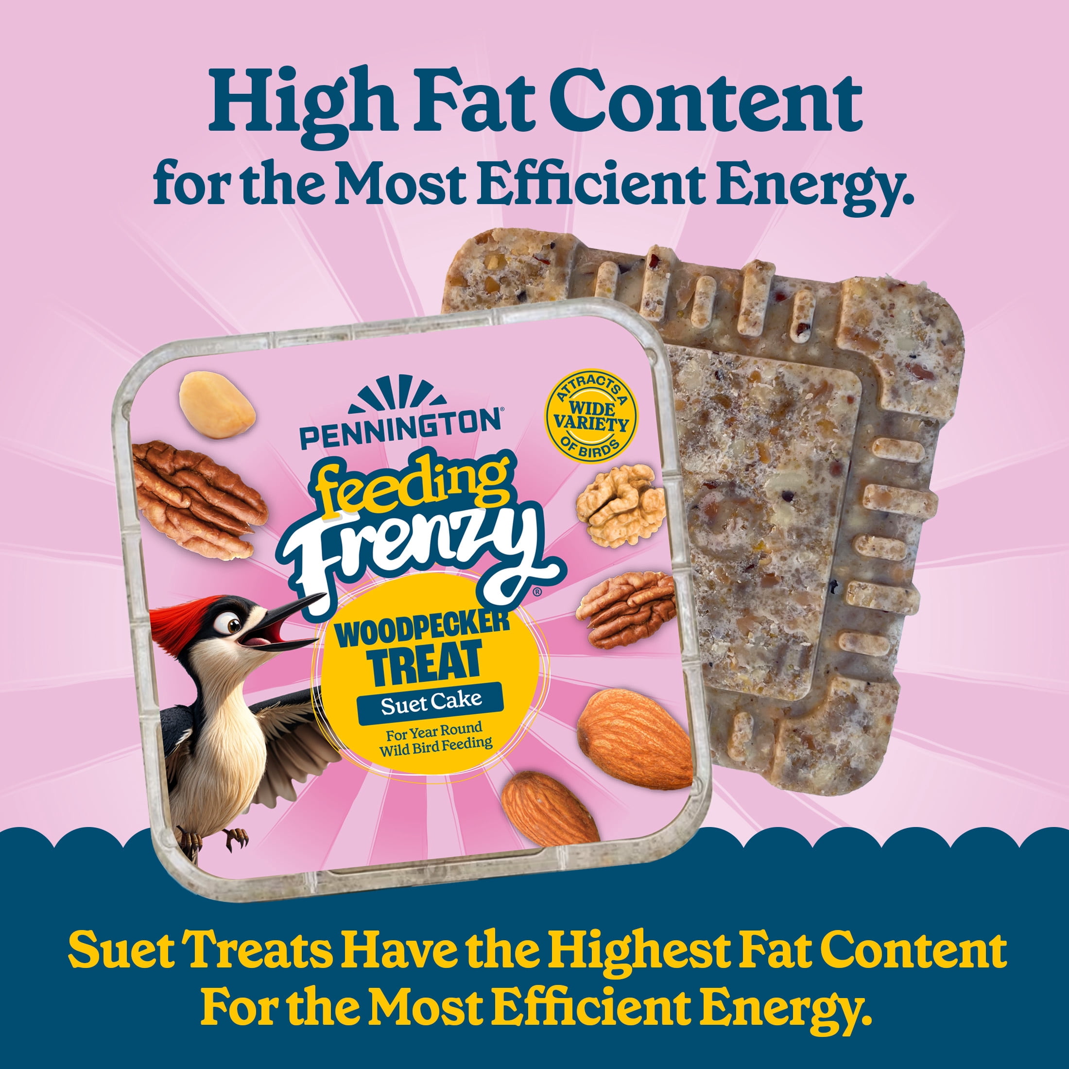 (12 pack) Pennington Feeding Frenzy Woodpecker Suet Treat, 11 oz Cake, Wild Bird Food, 1 Pack, Fresh