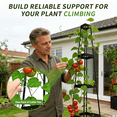 thumbnail image 5 of 2 Packs Raised Garden Bed Tomato Planter with Trellis, 57" Tomato Cages for Climbing Vegetables Plant, Self Watering Planters Box for Garden Pots for Patio Greenhouse Indoor Outdoor, 5 of 8