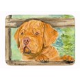 thumbnail image 1 of Carolines Treasures SS8926RUG Dogue De Bordeaux Machine Washable Memory Foam Mat, 1 of 4