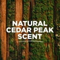 thumbnail image 3 of Tom's of Maine Natural Strength Plastic-Free Aluminum-Free Deodorant for Men, Cedar Peak, 2 oz., 3 of 10