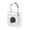 Silver, variant on One for Touch Open Finger Print Padlock USB Charging for Gym School Employee Loc