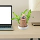 thumbnail image 5 of Miniadorno de maceta para escritorio de oficina | Figura de resina de un pequeño monje Basimu Kung con hojas verdes realistas | Decoración zen para el hogar | Regalo de meditación | Accesorio para p, 5 of 5