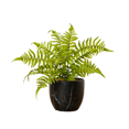 thumbnail image 1 of Artificial Fern Leaf in Pot - Celeste, 1 of 5