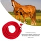 thumbnail image 3 of Cuerda de entrenamiento para caballos Línea de estocada para caballos con broche Cuerda de entrenamiento para caballos de alta resistencia y alta resistencia para, 3 of 7