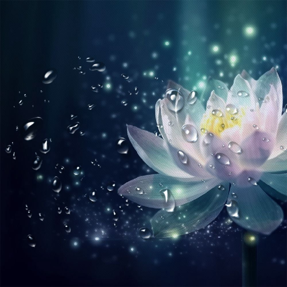 Pratyus Flowers Star Hologram Quick-Drying Shower Curtain Set for Bathroom Polyester Fiber Washable with Hooks 69x72