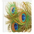 thumbnail image 3 of Ambesonne Spring Shower Curtain, Modern Peacock Feathers, 69"Wx84"L, Blue Green Pale Brown, 3 of 5
