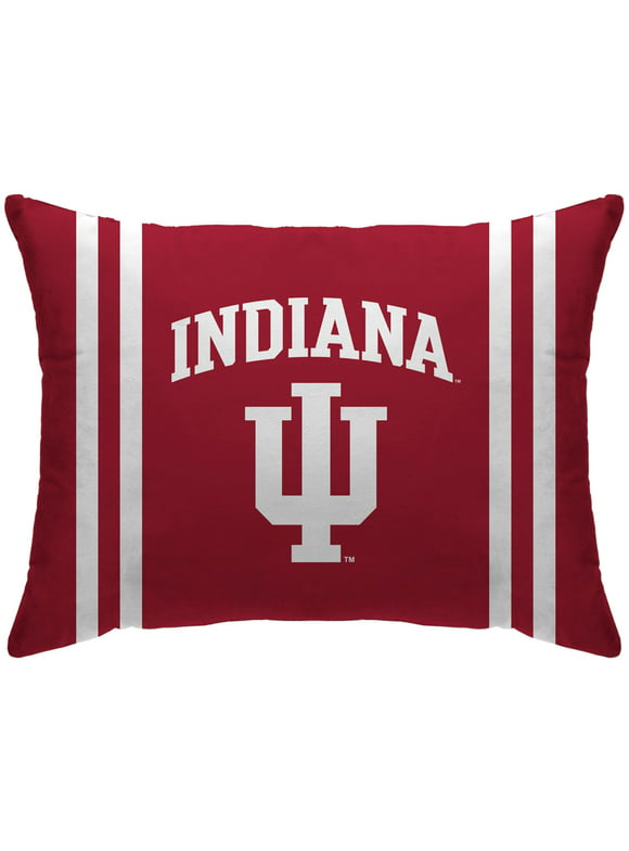 Pegasus Sports NCAA Standard Stripe Logo Bed Pillow