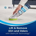 (2 pack) Woolite Carpet & Upholstery Foam Cleaner, 12 oz