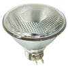 Ge Lighting Incandescent Lamp 75PAR/3FL/MINE-120V