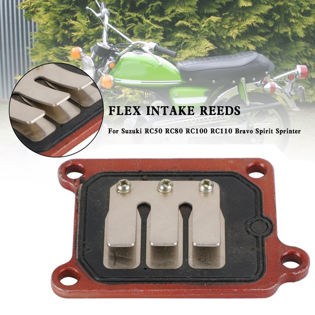 Soupape à Ressort pour Suzuki RC50 RC80 RC100 RC110 Bravo Esprit Sprinter