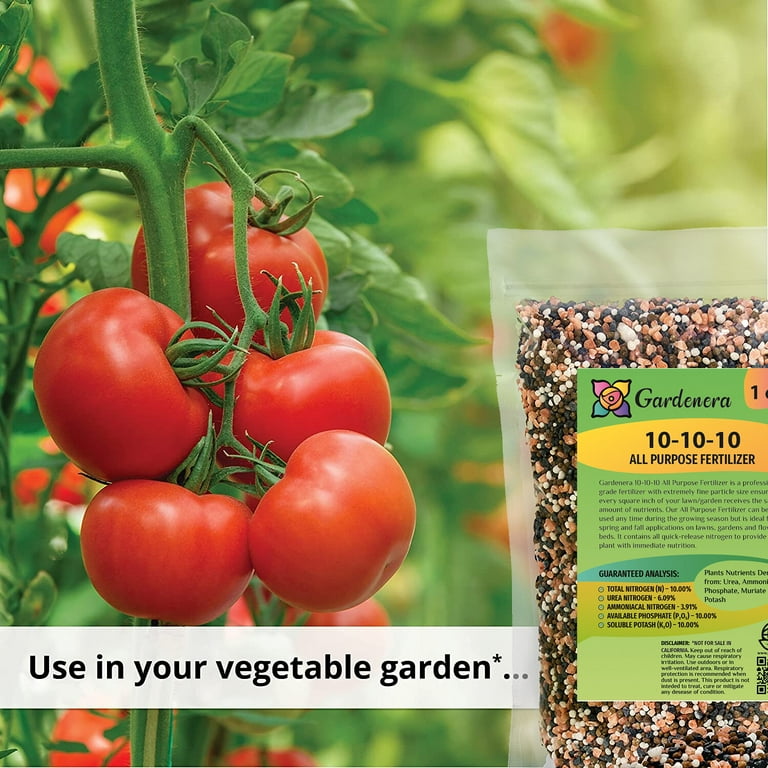 Safe Fertilizer For Vegetable Garden Fasci Garden