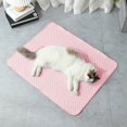 thumbnail image 3 of TNOBHG Self-cooling Pet Pad Self Pet Ice Pad Soft Washable Dog Mat with 3d Massage Bumps Easy to Clean Scratch-resistant Summer Blanket for Dogs Pet Mat, 3 of 8