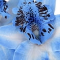 thumbnail image 1 of BESTYASH 20Ud Flores Artificiales De Seda Azul Para Decorar Bodas Con Y Atractivo, 1 of 7