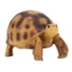 thumbnail image 1 of Figurita de tortuga, adorno decorativo inodoro seguro simulado, modelo de tortuga de resina, juguete para coleccionista infantil, 1 of 5