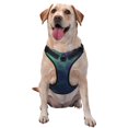 thumbnail image 1 of Green Mysterious Starry Sky Dog Harness, Pet Dog Out to Prevent Break Free Leash, Adjustable, Easy to Wear, X-Large, 1 of 9