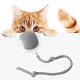 thumbnail image 3 of Pelota Interactiva para Gatos JShteea con Cuerda Interior, 3 of 9