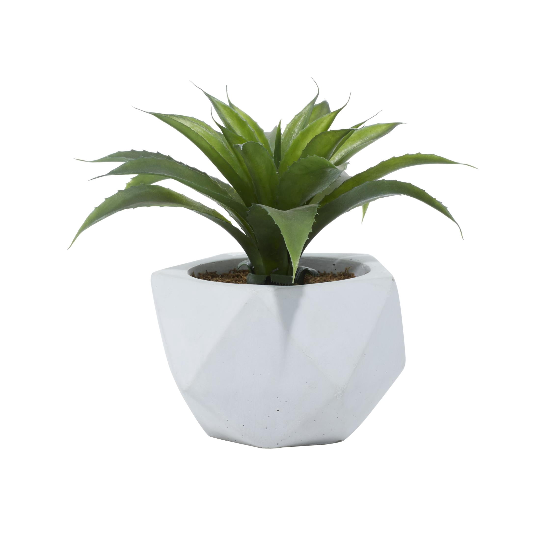DecMode 10" Artificial Agave Plant in Realistic Leaves and White Ceramic Pot