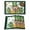 Green, variant on St Patricks Day Placemats Set of 12, Watercolor Dogs Green Shamrock Wood Grain Placemats for Dining Table, Place Mats for Kitchen Tabletop, Waterproof Wipeable Dining Table Mats Set