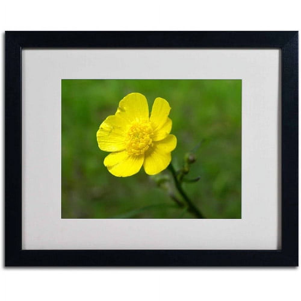 Trademark Fine Art "Unadorned" Canvas Art by Monica Fleet, White Matte, Black Frame